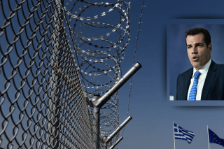 Θάνος Πλεύρης